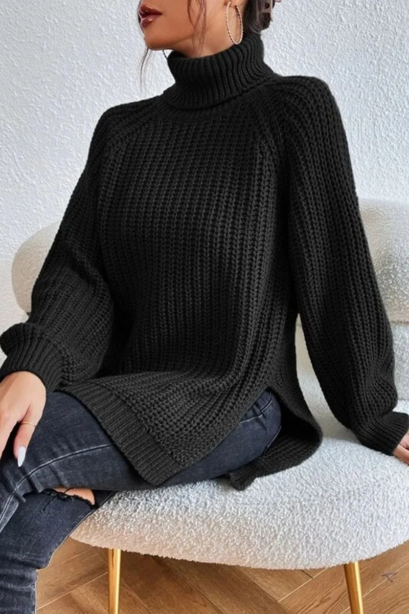 Casual Solid Basic Turtleneck Tops