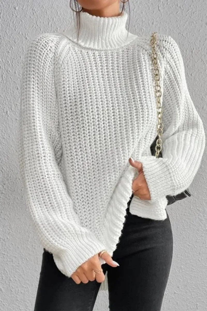 Casual Solid Basic Turtleneck Tops